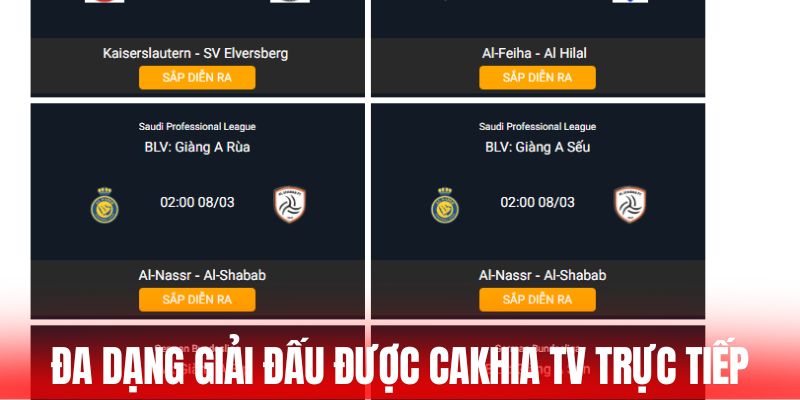Đa dạng giải đấu được Cakhia TV trực tiếp