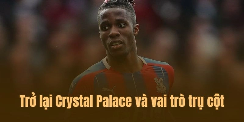 Điểm qua các đội bóng mà Wilfried Zaha cống hiến
