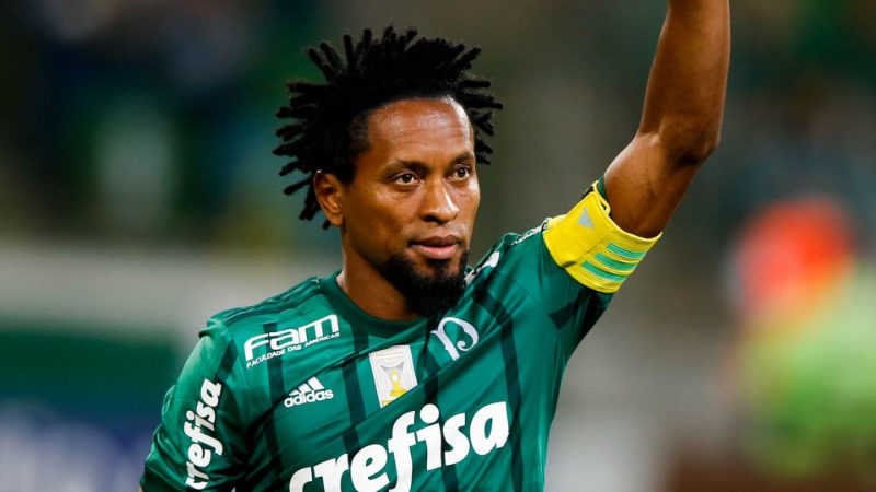 Giới thiệu chung về Zé Roberto 